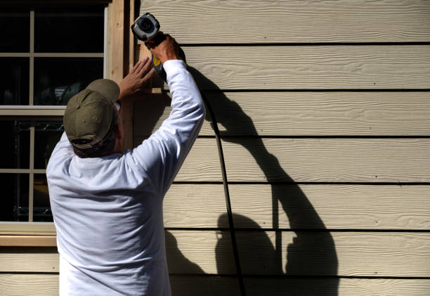 Best Storm Damage Siding Repair  in Ault, CO